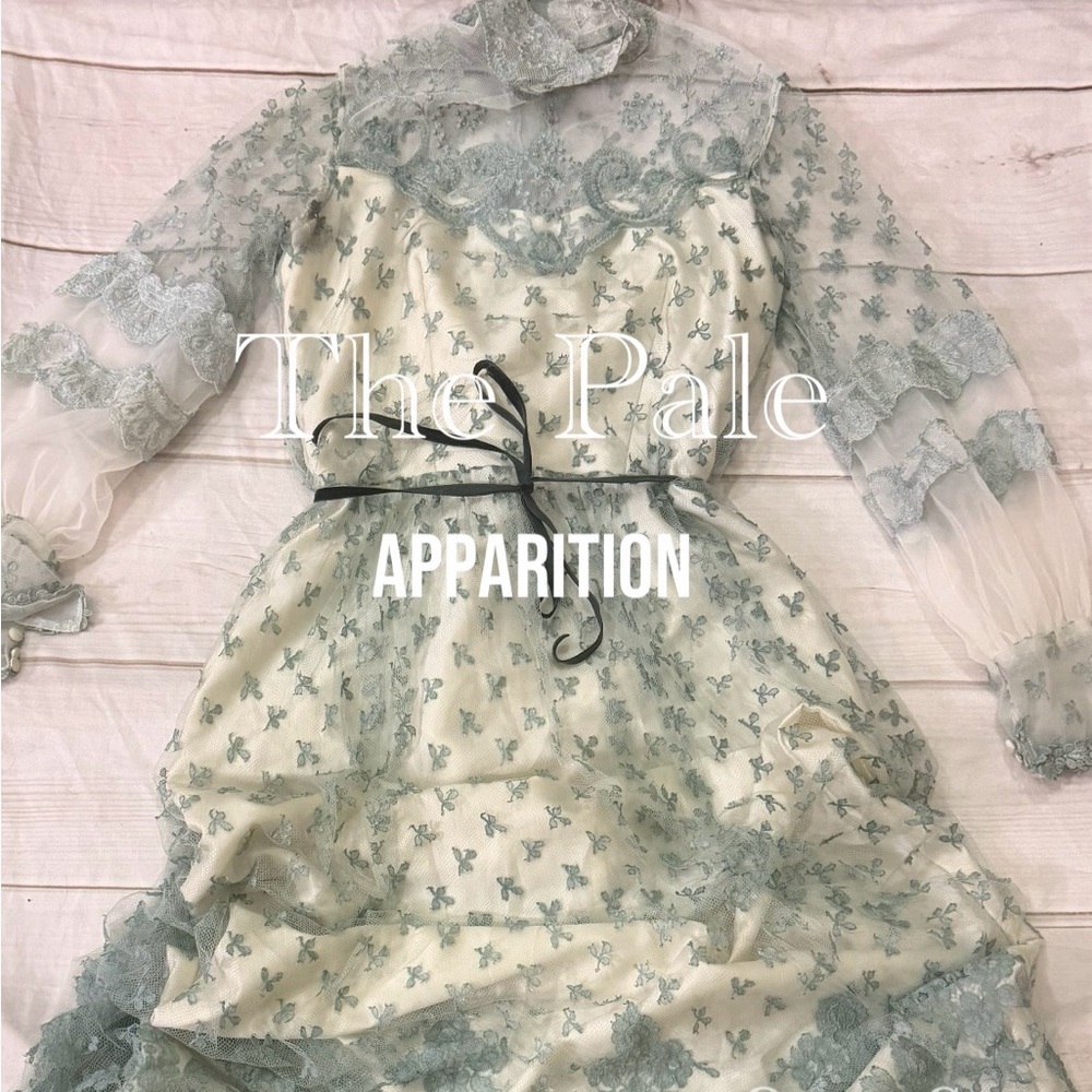 “Pale Apparition” Edwardian Lace Dress